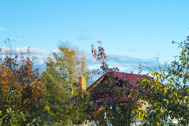 Similar image 21197919