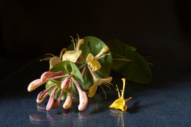 Similar image 21197920