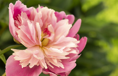 Similar image 21197924