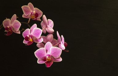 Similar image 21197926