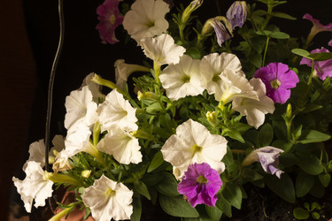 Similar image 21197927