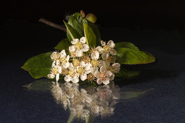 Similar image 21197930