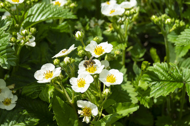 Similar image 21197933