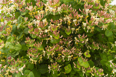 Similar image 21197934