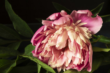 Similar image 21197935