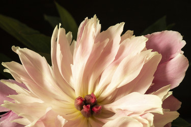 Similar image 21197937