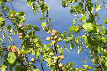 Similar image 21197939