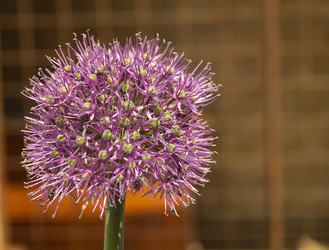 Similar image 21197940