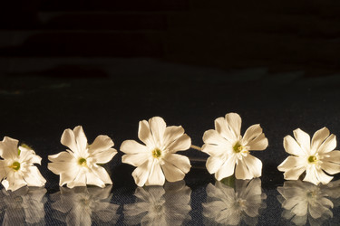 Similar image 21197941