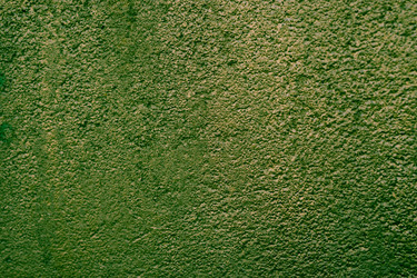 Similar image 21197455