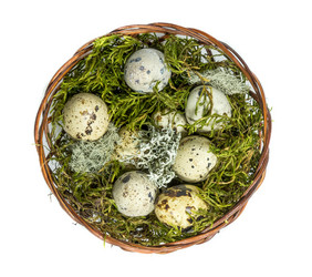 Similar image 21197464