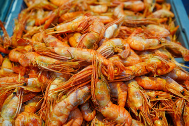 Similar image 21197466