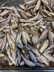 Similar image 21197568