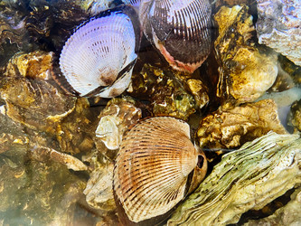 Similar image 21197569