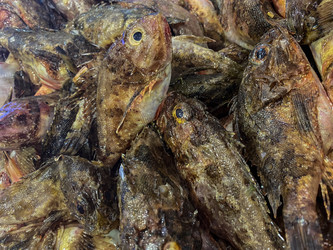 Similar image 21197570