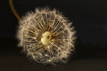 Similar image 21198238