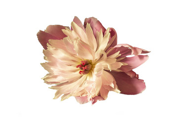 Similar image 21198239