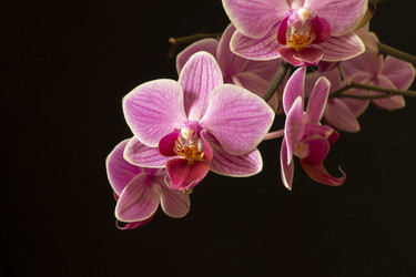 Similar image 21198240