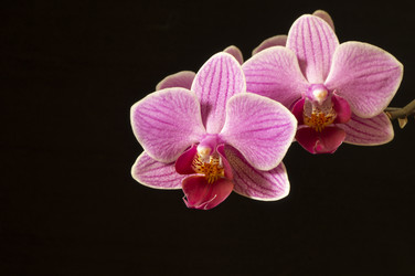 Similar image 21198242