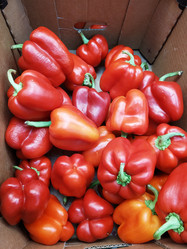 Similar image 21198249