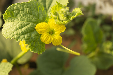 Similar image 21198251