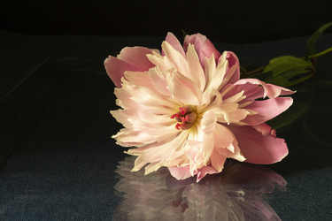 Similar image 21198263