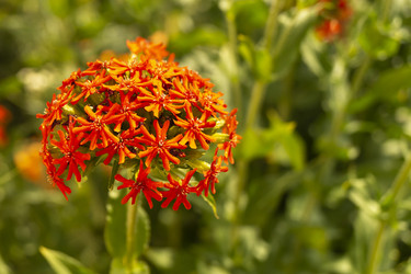 Similar image 21198436