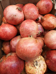 Similar image 21198072