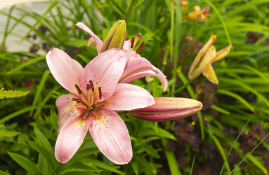 Similar image 21198073