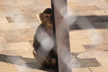 Similar image 21197362