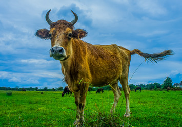 Similar image 21197367