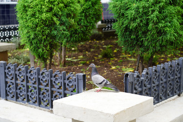 Similar image 21197377