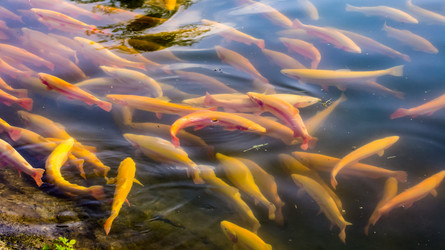 Similar image 21197491