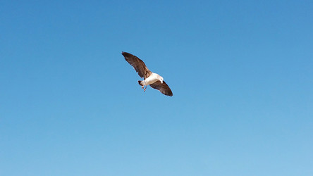 Similar image 21197493