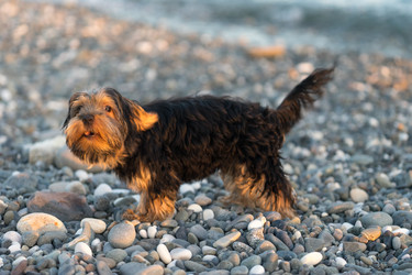 Similar image 21199793