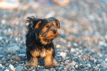 Similar image 21197584