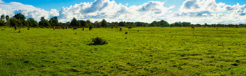 Similar image 21197586