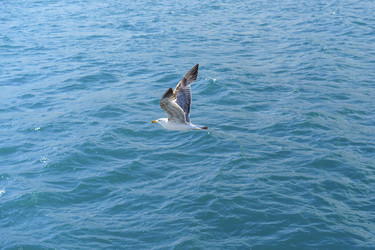 Similar image 21197593