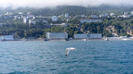 Similar image 21197594