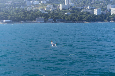 Similar image 21199796