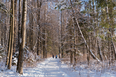 Similar image 21198438