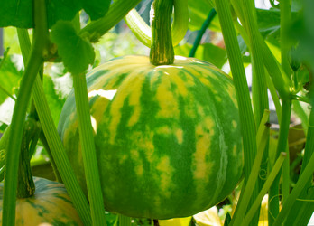 Similar image 21197403