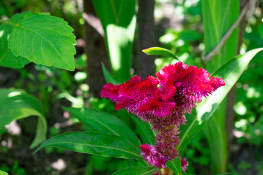 Similar image 21197405