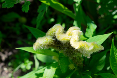 Similar image 21197406