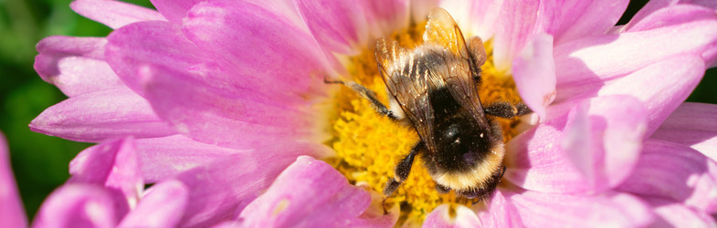 Similar image 21197408