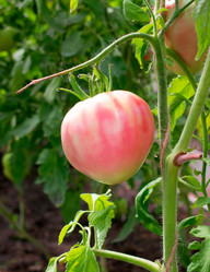 Similar image 21197409