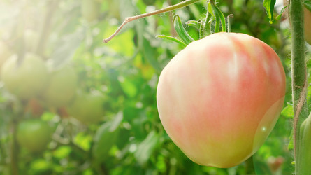 Similar image 21197410