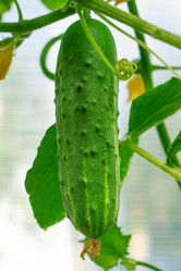 Similar image 21197413