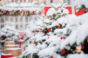 Similar image 21200113