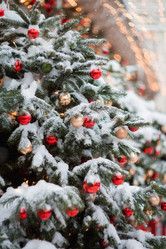 Similar image 21200114